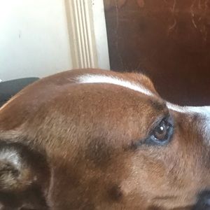 Meet your Posher, Max